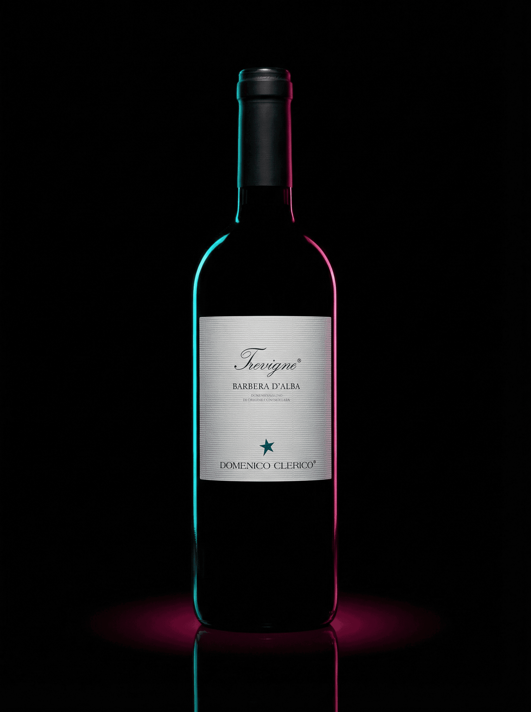 Trevigne